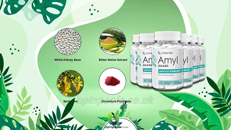 Ingredients in Amyl Guard's